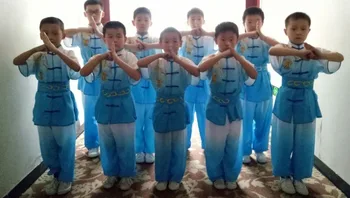 Rose/mėlyna vaikai trumpas rankovės kovos menų veiklos uniformas Vaikams siuvinėjimo dragon drabužių chi mokymo kostiumas tinka