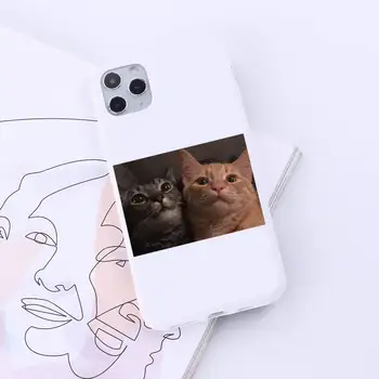 Mielas gyvūnų miela katė, šuo meno Telefono dėklas carcasa fundas padengti Saldainiai Spalvos iPhone 6 7 8 11 12-os mini pro X XS XR MAX Plus