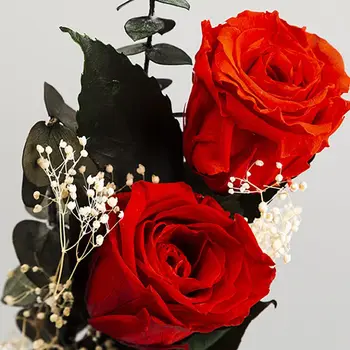 Naujas Dvigubas Rožės Amžinąjį Gėlių Puokštė Valentino Dieną, Motinos Dieną Ar Kalėdas Dovanų