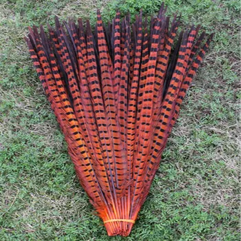 Nemokamas pristatymas 100 VNT ilgai oranžinė spalva fazano uodegos plunksnos 22-24inches/55-60cm