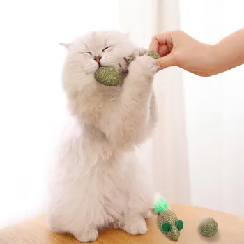 Naminių Kačių Žaislai, Gamtos Katžolių Kramtyti Žaislus Krūminių Dantų Valymo Gydo Pelės Plunksnų Žaislai Naminių Kačių Produktus