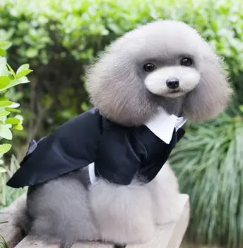 FH37 nemokamas pristatymas šuo juodas kostiumas šunelis drabužių pavasario žiemos drabužių augintinio kailio striukė