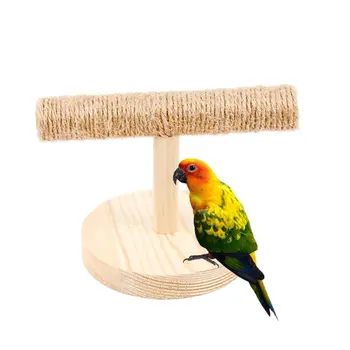 Papūga Medinių Stalo Ešeriai Paukščių Stovėti Pratimą Kojų Nagų Šlifavimo