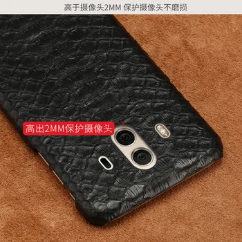 Wangcangli prekės ženklo mobilųjį telefoną atveju python Pusė pakuotės mobilųjį telefoną atveju huawei mate10pro mobiliojo telefono dėklas užsakymą tvarkymo