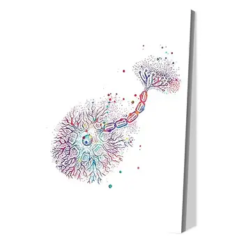 Naujas HD Akvarelė Neuronų Plakatas Drobės Tapybos Plakatai ir Spausdina Sienos Meno Nuotrauką Kambarį Namų Dekoro 5Y