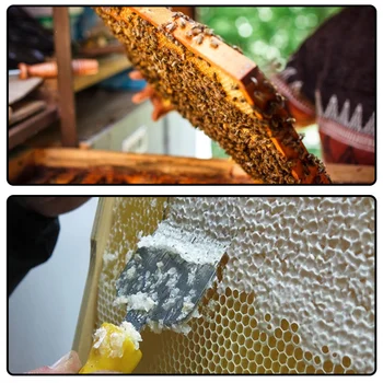 Uncapping Šakutės Medaus Cutter Grandiklis, Bitininkystės Įrankių Avilys Kastuvas peilis Įranga Medaus Bitės priemonė, Bitininkystės Produktų