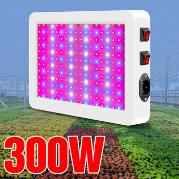 Fitolampe Visą Spektrą Augalų Šviesos 500W viduje Auga Lauke LED Fito Lempos Apšvietimo 220V LED Quantum Valdybos Daigų Auginimo Žiburiai