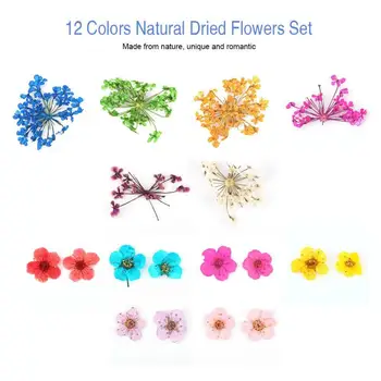 1 Dėžutė Natūralių Džiovintų Gėlių Nail Art Apdailos Spalvinga 3d Sausų Gėlių Mažas / Didelis Dizaino Manikiūro DIY Nail Ratų