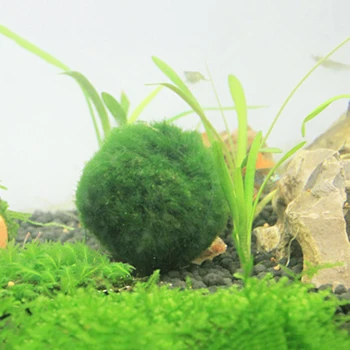 4cm Akvariumas Kraštovaizdžio naujų žinių žolės Papuošalai Žalia Akvariumas Dekoratyvinės Perspektyvas Žolės Žuvų Bakas Papuošalai