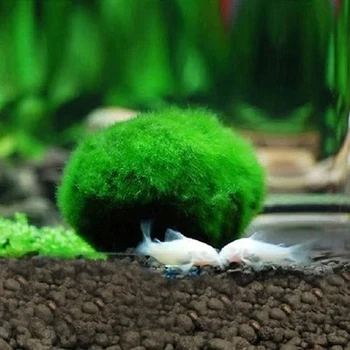 4cm Akvariumas Kraštovaizdžio naujų žinių žolės Papuošalai Žalia Akvariumas Dekoratyvinės Perspektyvas Žolės Žuvų Bakas Papuošalai