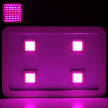 LED Grow Light COB 1200W Visą Spektrą Augti Žiburiai su MC/UV Kambarinių Augalų Auginimo ir Žydėjimo. Aukštus Liumenų, Aukšto Pajamingumo!