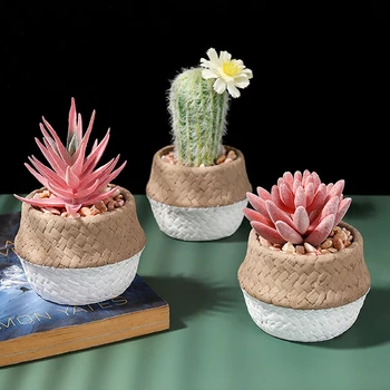 Dirbtinis Succulents Augalų Sodas Miniatiūriniai Netikrą Kaktusas 
