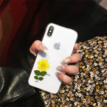 Daisy Nekilnojamojo Gėlių, Džiovintų Gėlių Skaidrus, iPhone, 11 Telefono dėklas skirtas iPhone 11 Pro Max X XR XS Max 7 8 Plius Padengti