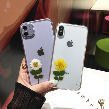 Daisy Nekilnojamojo Gėlių, Džiovintų Gėlių Skaidrus, iPhone, 11 Telefono dėklas skirtas iPhone 11 Pro Max X XR XS Max 7 8 Plius Padengti