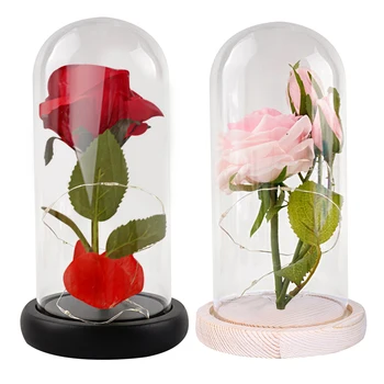 Modeliavimo Eternal Rose LED Šviesos Grožį Žvėrys Stiklo danga Kalėdinis Namų Dekoras Motinos Valentino Diena naujųjų Metų Dovana