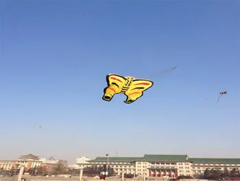 3d gražus lauko sporto įdomus drugelis aitvaras vaivorykštė vėjo suktukai pripučiami kite vieną liniją vaikams, lauko žaidimų drugeliai
