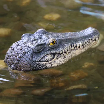 Pranešk Apie Netikrą Krokodilo Galva Boa Elektros Neperšlampamas Nuotolinio Valdymo Modeliavimas Krokodilas Klaidingą Pokštas Žaislai Krokodilo Galva Dovana Vaikas