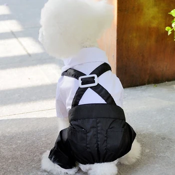 Naują pavasario dėvėti vasarą nešioti mažas kostiumas su dirželiais Teddy šuo suknelė Britų stiliaus pet vestuvių suknelė Teddy šuo pavasarį dėvėti