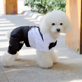 Naują pavasario dėvėti vasarą nešioti mažas kostiumas su dirželiais Teddy šuo suknelė Britų stiliaus pet vestuvių suknelė Teddy šuo pavasarį dėvėti