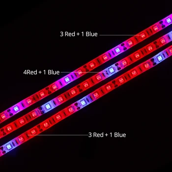 Viso Spektro LED Fito Lempos Fitolampy Augti Žiburiai 5050 5M Su 12V Adapteriu Jutiklinį Jungiklį Akvariumas Šiltnamio efektą sukeliančių Augalų Juostos Šviesos
