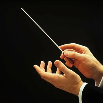 Muzikos Koncertų Ritmas grupės Direktoriaus Dirigentas Baton 38.5 cm Muzikos Instrumentas
