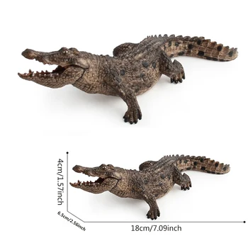 7.2 colių Modeliavimas Krokodilas Statulėlės Gyvūnų Veiksmų Skaičius, Žaislai Švietimo Būtybių 14736 Gyvūnų Modelio, Žaislai Vaikams Šiuo
