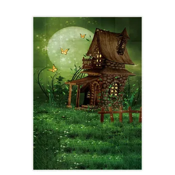 Lyavshi fotografijos fone fantazijos stebuklų, šiek tiek pasakų namas žalia pieva, drugeliai, fono fotografijos fonas