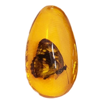 Antikvariniai Lašo formos Pakabukas bičių Vaškas Vabzdžių Pavyzdys Gintaro Pakabukas Apdailos Amatai