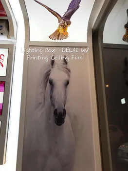 Ryškus Žirgų Bėgimas Spausdinimo Lubų Plėvelė, baltas fonas Įtempiamos Lubos Filmas su fluorescenciniu apšvietimu