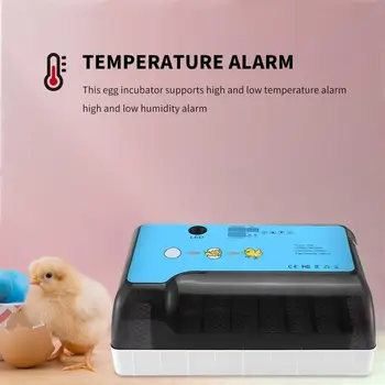 12 Kiaušinių Inkubatorius Laiko Kontrolė Automatinis Skaitmeninis Hatcher Didelės Talpos, Praktiška Inkubatoriai, Skirti Vištų Naminių Putpelių Kiaušiniais Namuose