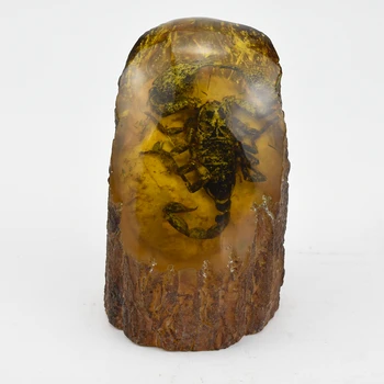Gintaro pavyzdys smulkių gyvūnų gyvenimo akmens skorpionas Wang Po retas iškastinio ornamentu