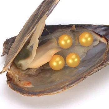 2019 Quadruplets Perlai Austrės Gėlo vandens Dirbtiniu būdu išauginti Meilę, Norą Perlas Austrės su 6-7 mm Apvalus Perlas Viduje Gimtadienio Dovana